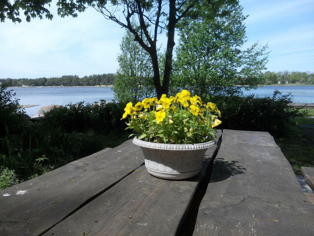 Kapteni Holiday House Paatsalu Екстер'єр фото